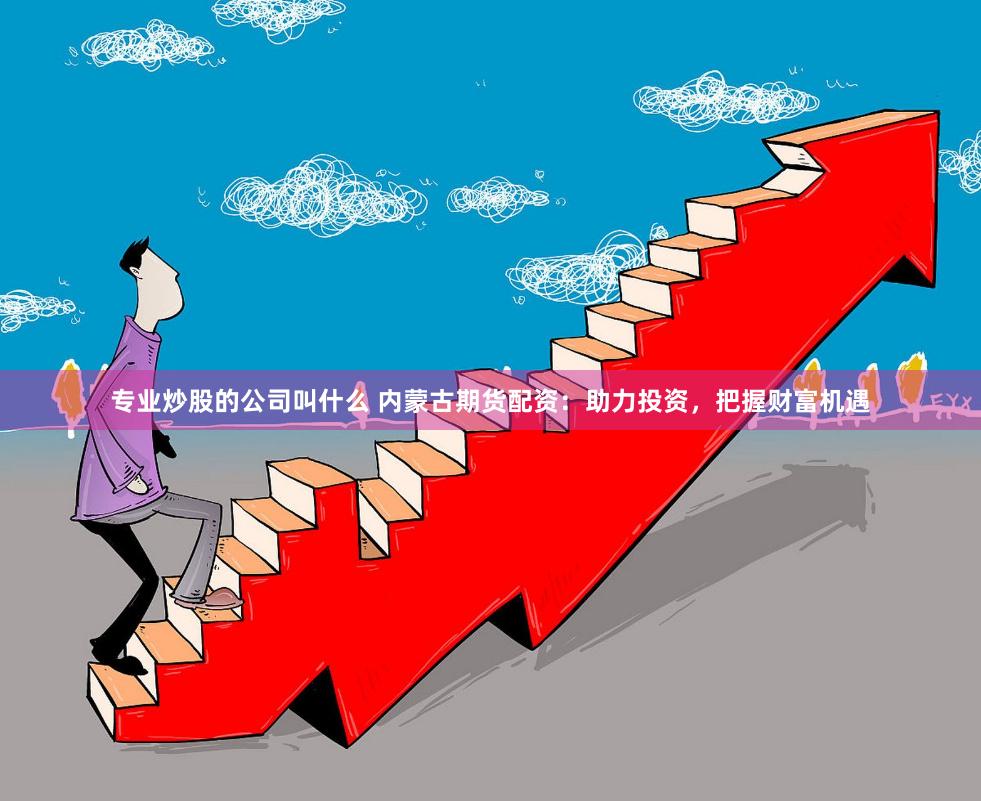 专业炒股的公司叫什么 内蒙古期货配资：助力投资，把握财富机遇